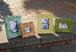 Vivid Frames – Set of 4 - 12866-4