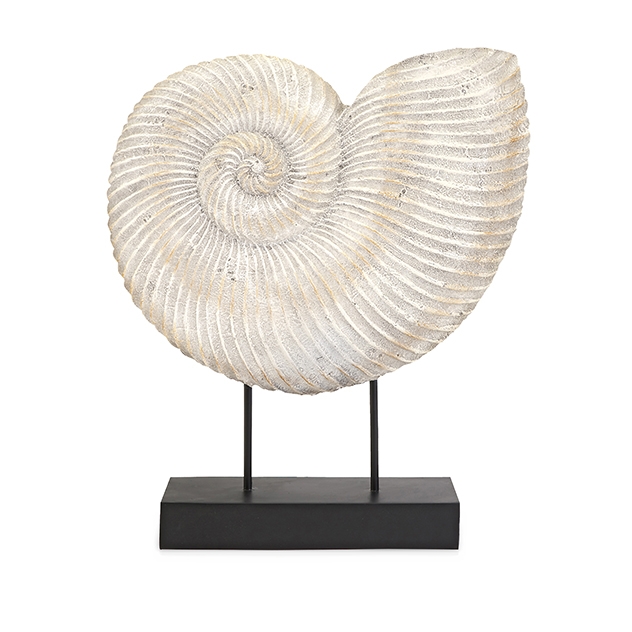 Ramsey Sea Shell on Stand