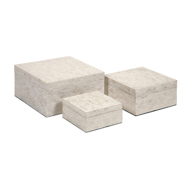 Montgomery Shell Boxes - Set of 3
