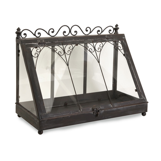 Lefroy Tabletop Terrarium