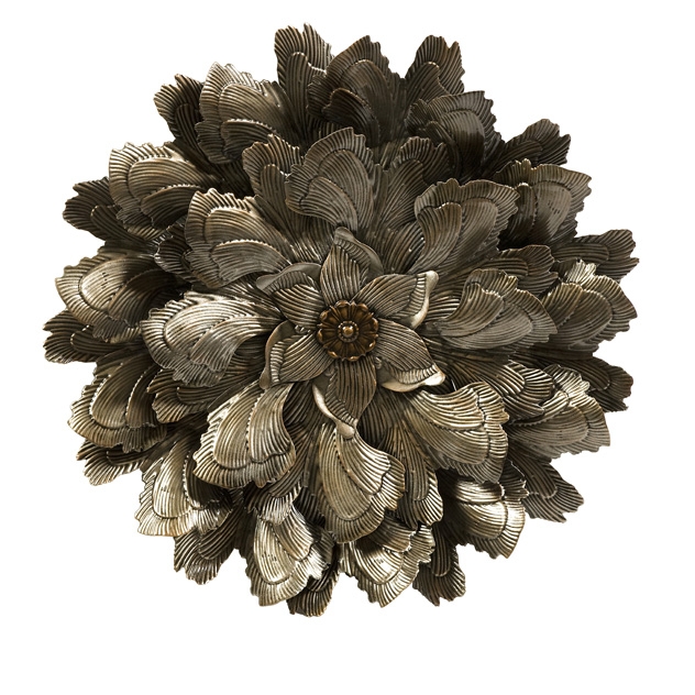 Moray Wall Flower