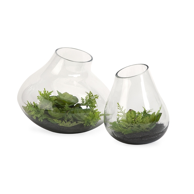 Gaudet Succulents - Set of 2