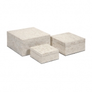 Montgomery Shell Boxes - Set of 3