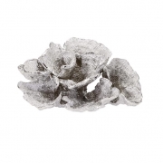 Cape Coral Statuary Wall Décor