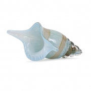 Bermuda Glass Shell