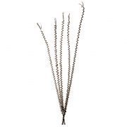 Brown Sri Flower Bundle - 5 Stems