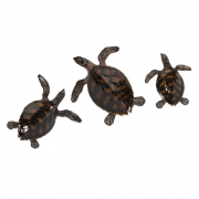 Swanson Sea Turtle Wall Décor - Set of 3