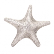 Dempsey Aluminum Starfish Wall Mount