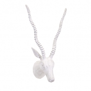 Barron White Wall Mount