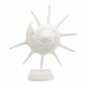 Dufour Oversized Shell Statuary