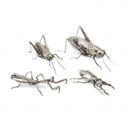 Butera Chrome Insects - Set of 4