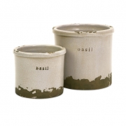 Basil Herb Pots - Set of 2