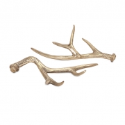 Hodge Gold Deer Antlers - Ast 2
