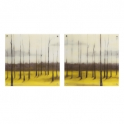 Sunlit Treeline Acrylic Floating Wall Art - Ast 2