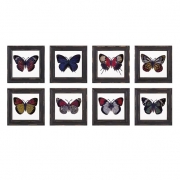 Butterfly Framed Glass Wall Decor - Ast 8