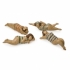 Bathing Beauties in Natural Wood - Set of 4  alternate image