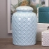 Robin's Egg Blue Lidded Jar alternate image