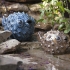Bubble Fish - Set of 2 alternate image