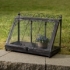 Lefroy Tabletop Terrarium alternate image