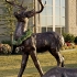 Standing Reindeer alternate image