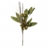 Olivia Succulent Bundle  alternate image