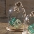 Nantucket Small Cloche w/ Rope alternate image
